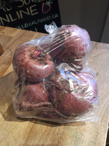 Elmridge - Chioggia Beets (3lb) AGRICOLA ONLY