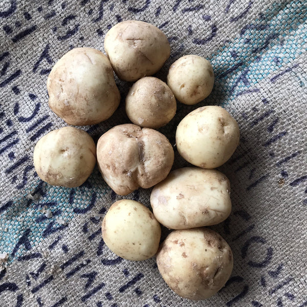 Elmridge - New Potatoes (per LB)