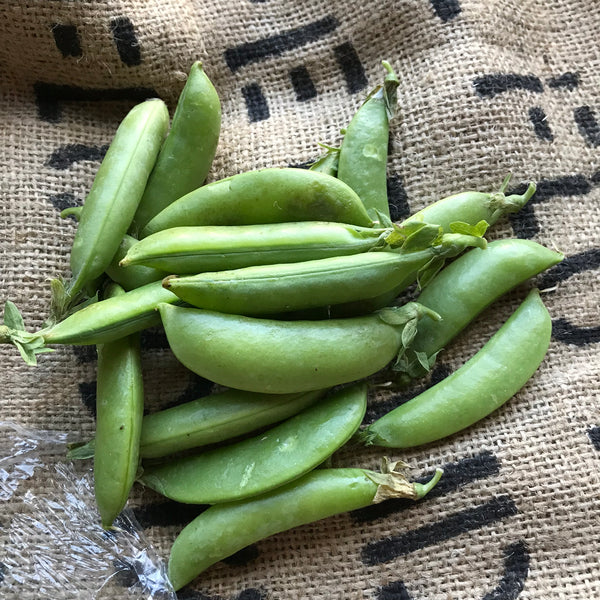 Elmridge - Sugarsnap Peas (PER LB)