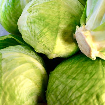 Noggins - Green Cabbage (PER LB)