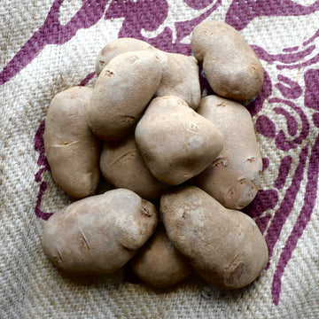 Noggins - Russet Potatoes (PER LB)