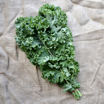 Maple Shade Gardens - Bunch Kale - Organic (ea)