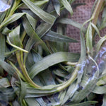 Fresh Herbs (ea) - Riverview Herbs