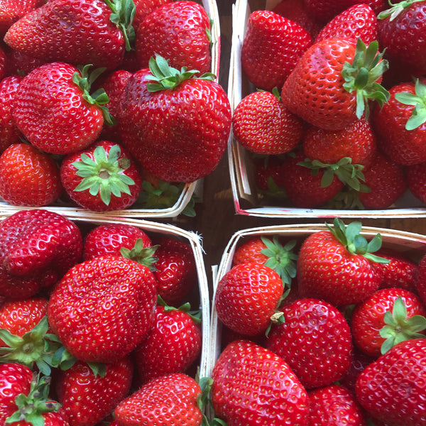 Vermeulen - Strawberries (ea)