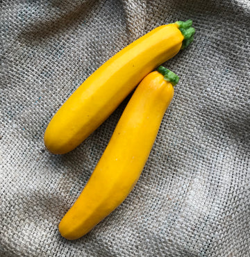 Vermeulen Farms - Yellow Zucchini (LB)