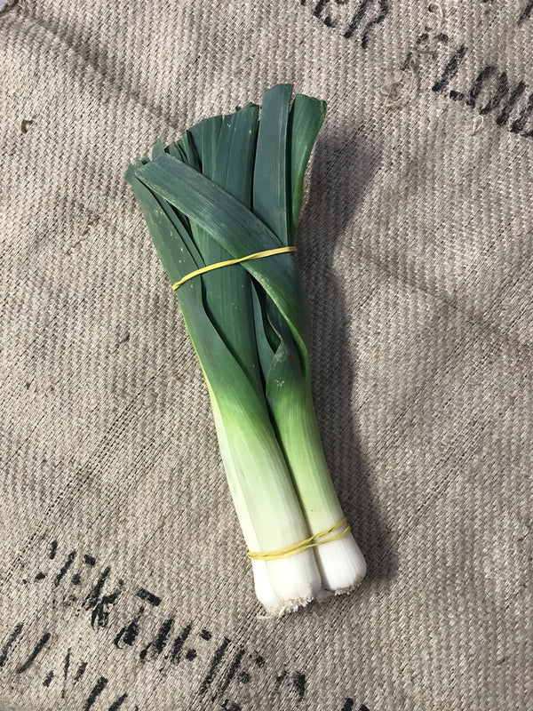 Elmridge - Leeks (ea)