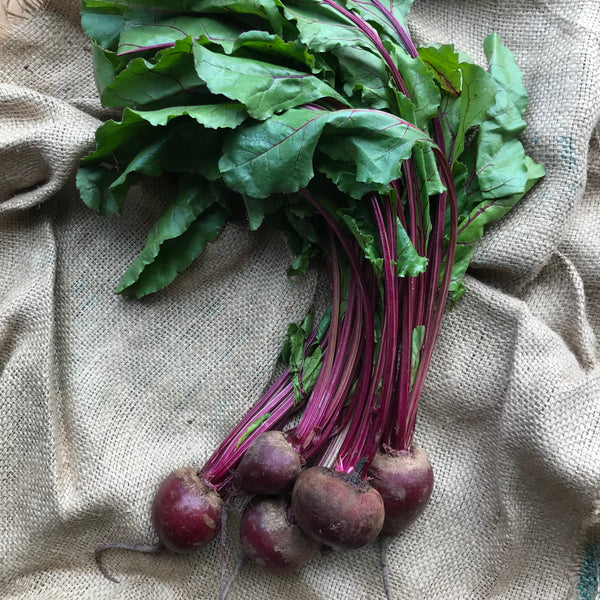 Elmridge - Bunched Beets (ea)