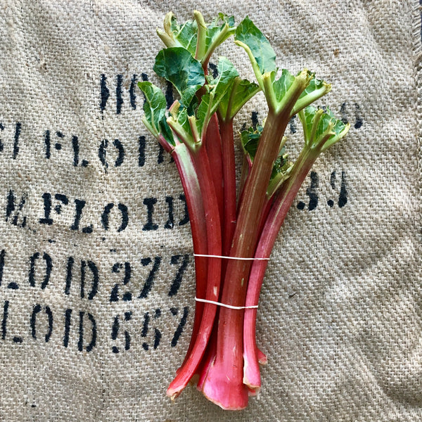 Noggins - Rhubarb (LB)