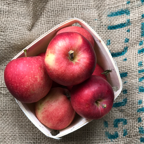 Hutten - Gala Apples (2lb)