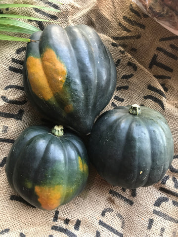 Noggins/Vermeulen - Acorn Squash (PER LB)