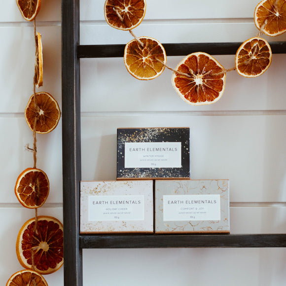 Earth Elementals - Holiday Soap Gift Set